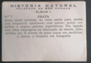 imagem_8