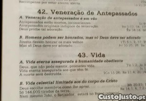 imagem_8