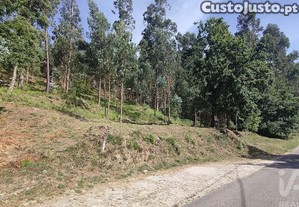 Terreno Agrícola em Valença, Cristelo Covo e Arão