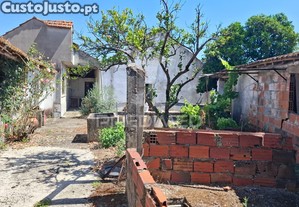 imagem_19