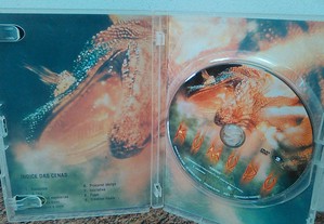 imagem_8