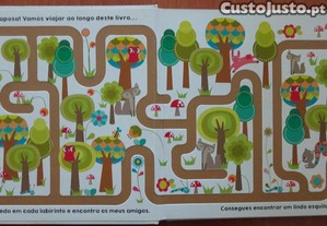 imagem_2