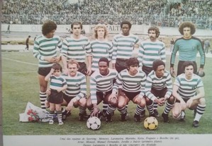 imagem_5