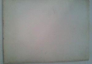 imagem_7