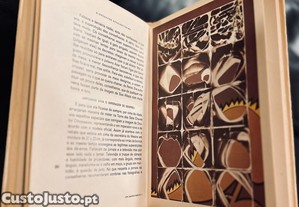 imagem_7