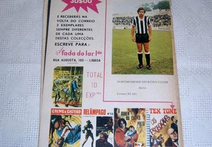 imagem_2