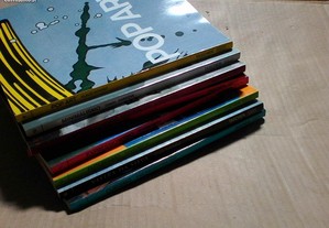 imagem_2