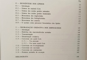 imagem_11