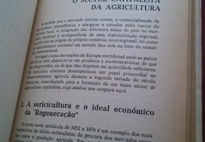 imagem_4