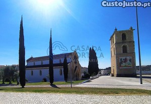 imagem_19