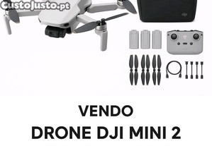 imagem_1