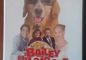 Filme DVD "Bailey - Um Cão que vale milhões"