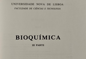 imagem_12