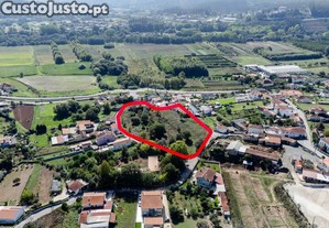 imagem_6