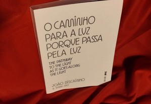 O Caminho para a Luz Porque Passa pela Luz, de João Biscainho e Semir Zeki. Novo.