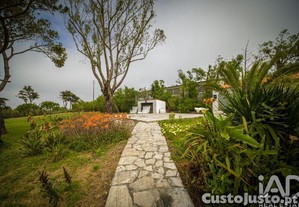 imagem_22