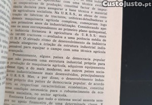 imagem_6