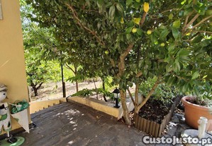 imagem_38