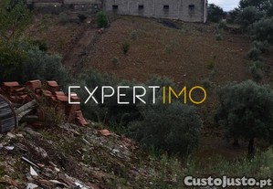 imagem_8