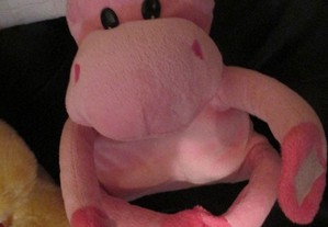 imagem_6