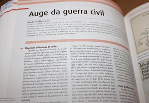 imagem_6