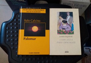 Obras de Italo Calvino e Laura Esquivel