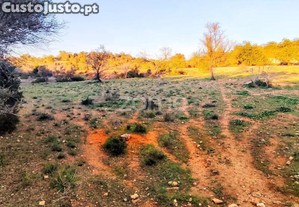 Terreno Rústico - Tunes, Silves | 1.480 M²