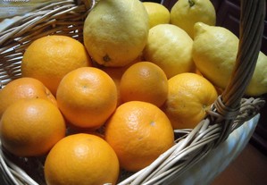 laranjas limões ovos tomarilhos chu chu biológicos