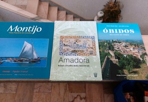 Livros dos Municípios de Amadora, Montijo e Óbidos
