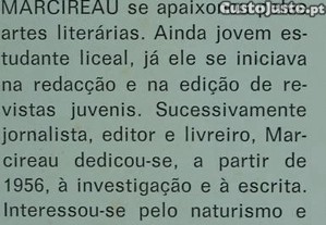 imagem_8