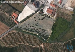 Terreno em Santa Maria, São Pedro e Sobral da Lagoa de 24000,00 m²