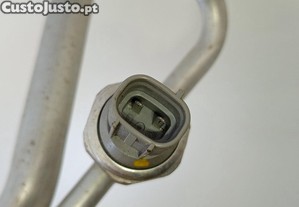 imagem_10