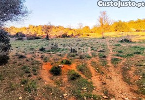 Terreno Rústico - Tunes, Silves | 1.480 M²