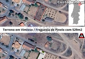 imagem_1