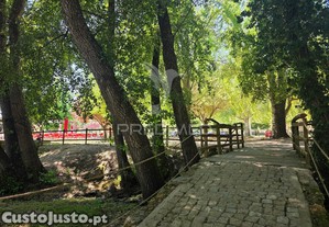 imagem_36