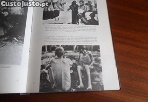 imagem_5