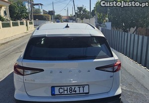 imagem_5