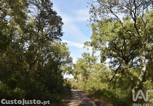 imagem_32