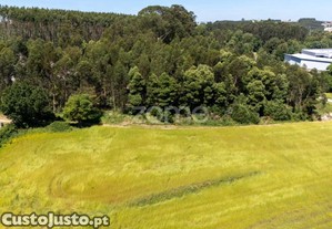 Terreno Rústico C/ 37.240M2 - Custió - Leça Do...