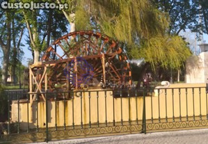 imagem_9