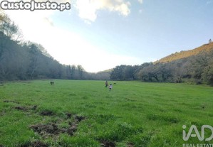 imagem_28