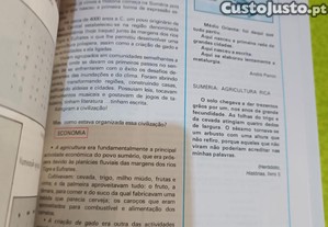 imagem_6