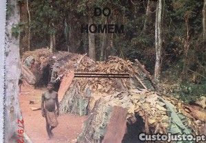 imagem_8