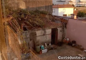 imagem_15