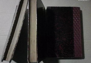 imagem_3