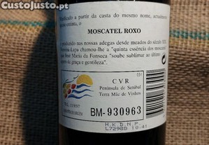 imagem_3