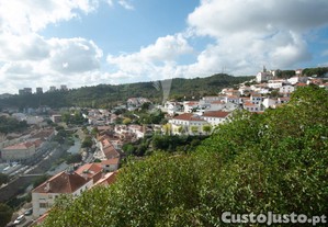imagem_8