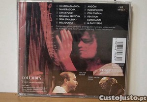 imagem_2