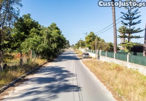 Terreno em Pinhal de Frades
