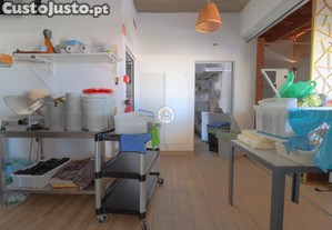 imagem_11